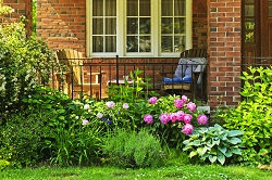 Expert Gardening Services in Haringey