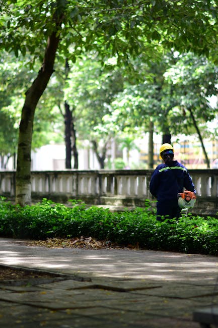 A gardener from Gardeners Harringay is seen trimming a well-maintained hedge alongside a paved pathway in a lush urban park setting. The gardener is wearing a yellow and navy protective helmet and a matching uniform, holding a cordless hedge trimmer. The scene is shaded by tall, leafy trees with vibrant green foliage, providing dappled sunlight on the ground. Behind the hedge, there is a decorative wooden fence and a row of trees, creating a peaceful and tidy outdoor environment suitable for garden maintenance and landscaping work. The overall scene highlights professional outdoor care within a green, well-kept public space.